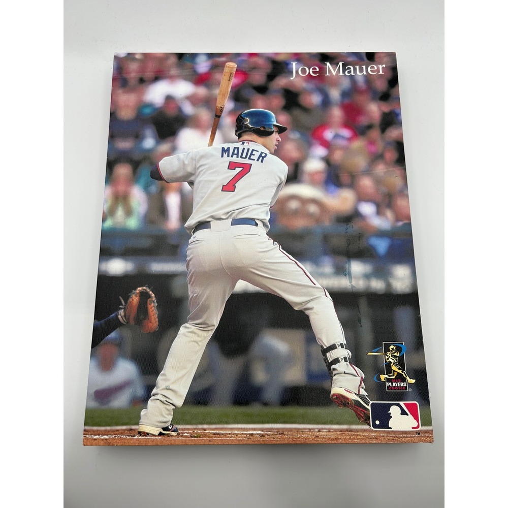 Joe Mauer Minnesota Twins MLB Canvas Wal Art 14x18 Baseball Decor Room Essential